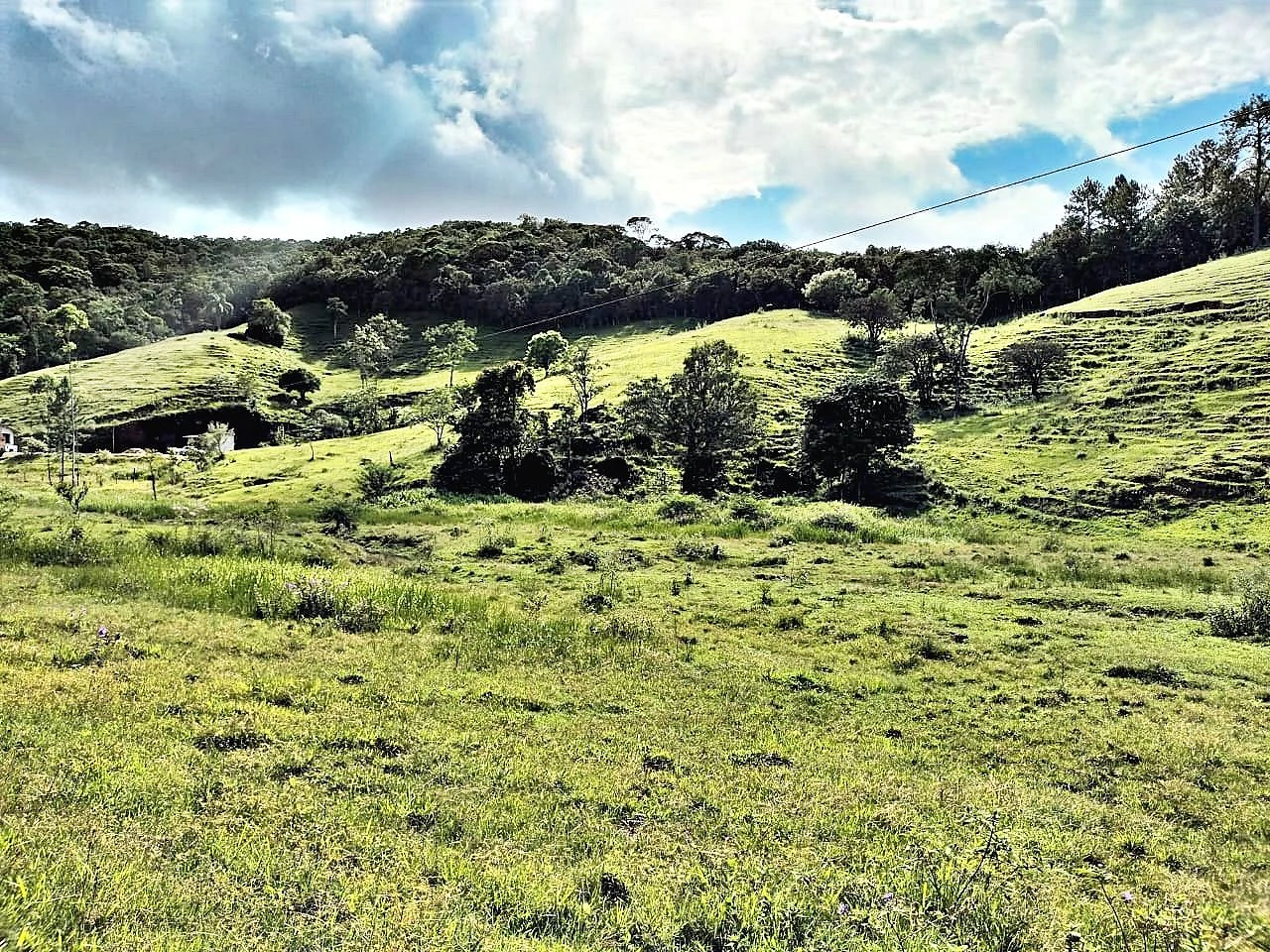 Terreno 16.000M² - Pagará - Santo Amaro Imperatriz - Foto 7