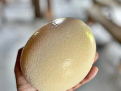 Sítio em Área Rural, Águas Mornas