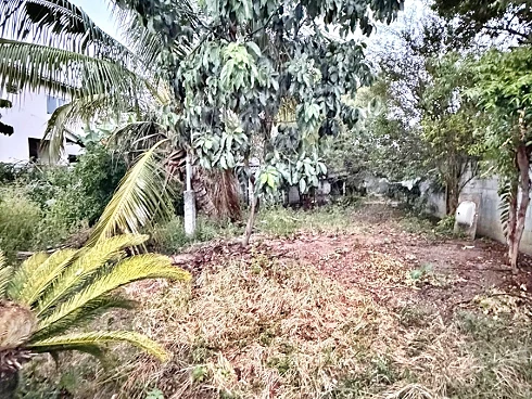 Terreno com Residência, Disponível para Venda, Localizado no Centro, Cidade Palhoça/SC; - Foto 6