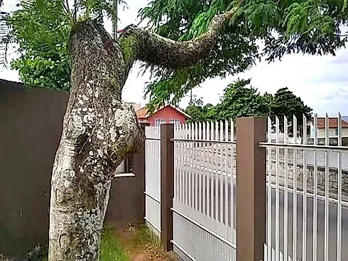 Casa Frente Mar, 4 Quartos com 1 Suíte e 360m² - Centro - Foto 7