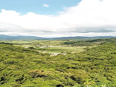 Chácara 6 Mil M², Suíte, Piscina - Santo Amaro Imperatriz - Foto 11