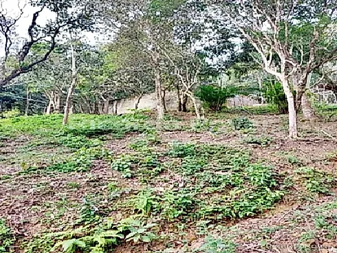 Terreno 5.819M² a 800 Metros do Mar - Praia de Fora - Foto 10