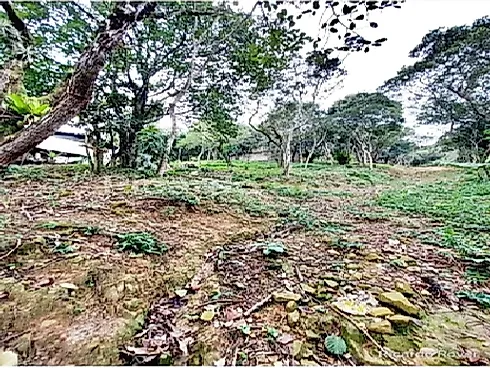 Terreno 5.819M² a 800 Metros do Mar - Praia de Fora - Foto 12