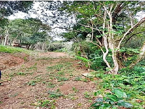 Terreno 5.819M² a 800 Metros do Mar - Praia de Fora - Foto 13
