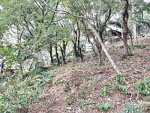 Terreno em Praia de Fora, Palhoça