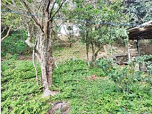 Terreno em Praia de Fora, Palhoça