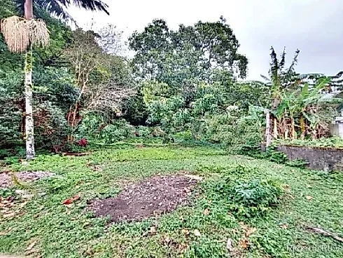 Terreno 5.819M² a 800 Metros do Mar - Praia de Fora - Foto 6