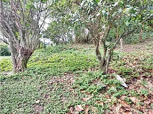 Terreno 5.819M² a 800 Metros do Mar - Praia de Fora - Foto 8