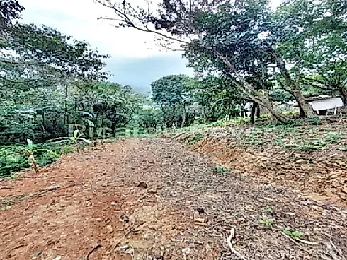 Terreno 5.819M² a 800 Metros do Mar - Praia de Fora - Foto 9