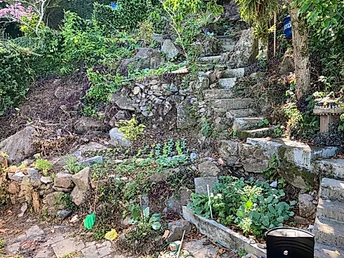 Casa com 3 Dorm. de Frente para o Mar na Enseada de Brito/Palhoça SC - Foto 31