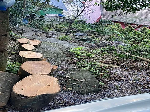 Casa com 3 Dorm. de Frente para o Mar na Enseada de Brito/Palhoça SC - Foto 41