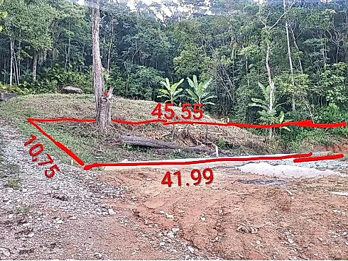 Terreno 462m² - Residencial - Alto Aririú