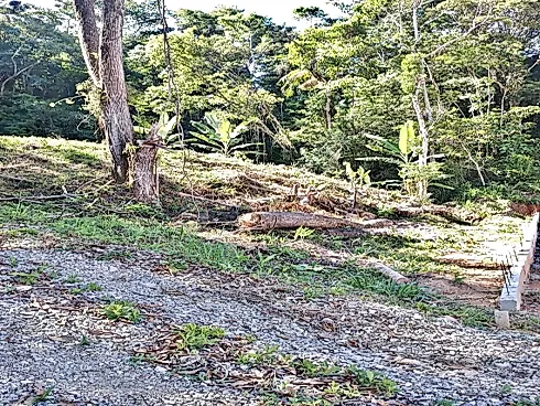 Terreno em Alto Aririú, Palhoça