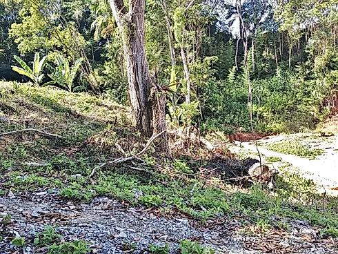 Terreno em Alto Aririú, Palhoça