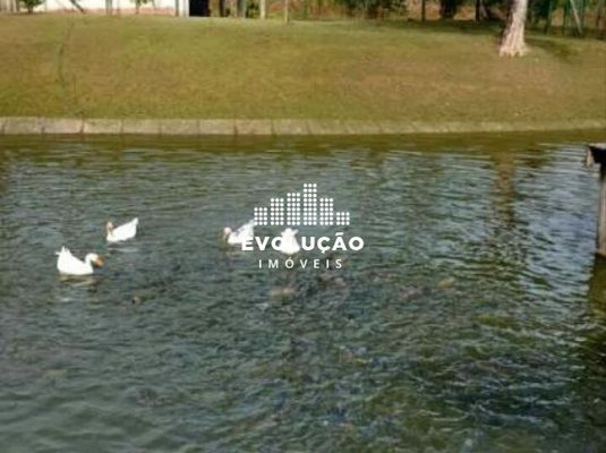 Sítio - Alto Biguaçu - Biguaçu/SC - Foto 6