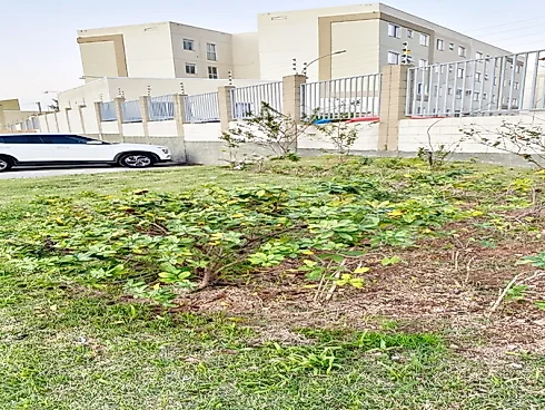 Apartamento 2 Quartos no Residencial Orquídeas - Bela Vista - Foto 33