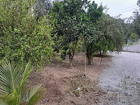 02 Casas em Terreno de 20.000M² Encruzilhada, Biguaçu - Foto 13