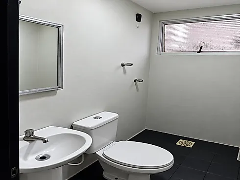 Escritório/Sala Comercial - Kobrasol - Foto 14