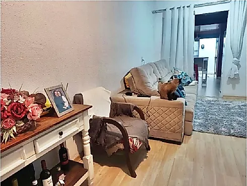 Casa 2 Quartos, Closet, 1 Vaga, Lazer - Bela Vista - Casa em Bela Vista, Palhoça - Foto 4