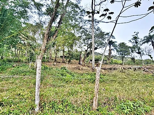 Linda Área com 8,7 Hectares -Paulo Lopes-SC! - Foto 12