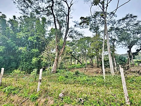 Linda Área com 8,7 Hectares -Paulo Lopes-SC! - Foto 16