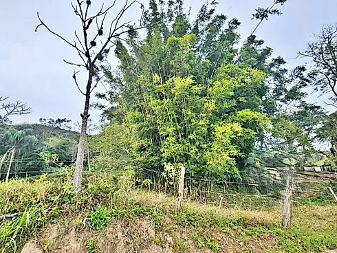 Linda Área com 8,7 Hectares -Paulo Lopes-SC! - Foto 20