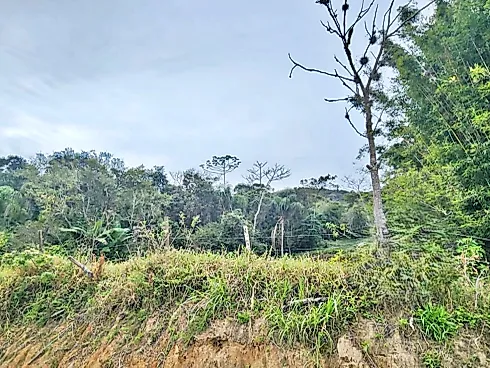 Linda Área com 8,7 Hectares -Paulo Lopes-SC! - Terreno em Morro dos Freitas, Paulo Lopes - Foto 5