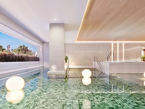 Apartamento em Campinas, São José