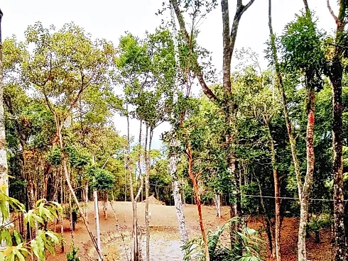 Terreno 5.274,25 m² , Escritura , Área D Lazer - Santo Amaro da Imperatriz - Foto 13