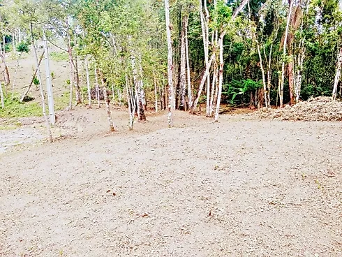 Terreno 5.274,25 m² , Escritura , Área D Lazer - Santo Amaro da Imperatriz - Foto 18
