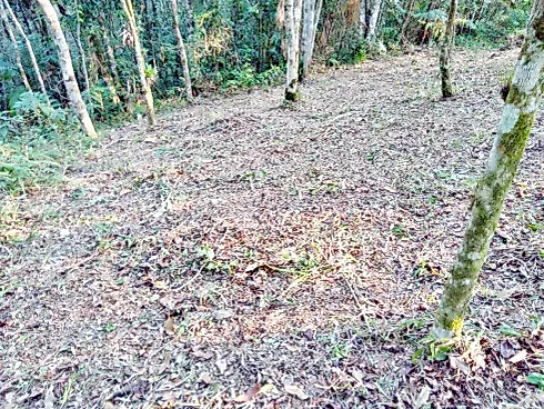 Terreno 5.274,25 m² , Escritura , Área D Lazer - Santo Amaro da Imperatriz - Foto 19