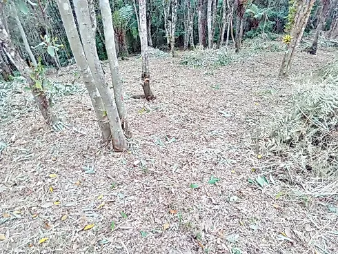 Terreno 5.274,25 m² , Escritura , Área D Lazer - Santo Amaro da Imperatriz - Foto 21