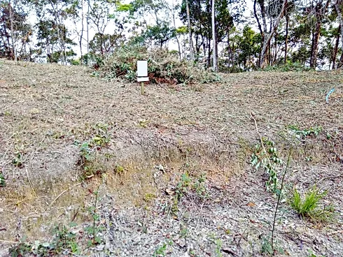 Terreno 5.274,25 m² , Escritura , Área D Lazer - Santo Amaro da Imperatriz - Foto 23