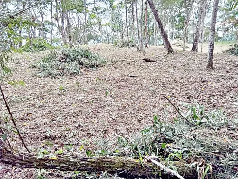 Terreno 5.274,25 m² , Escritura , Área D Lazer - Santo Amaro da Imperatriz - Foto 24