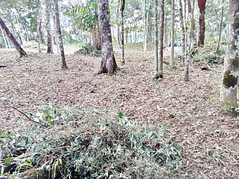 Terreno 5.274,25 m² , Escritura , Área D Lazer - Santo Amaro da Imperatriz - Foto 25