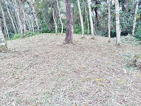 Terreno 5.274,25 m² , Escritura , Área D Lazer - Santo Amaro da Imperatriz - Foto 27