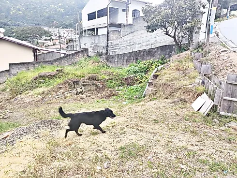 Terreno em Canto dos Ganchos, Governador Celso Ramos
