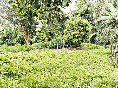 Terreno 1.064,66M², Escritura, 2 Andares - Celso Ramos - Foto 6