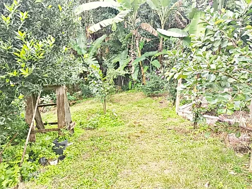 Terreno 1.064,66M², Escritura, 2 Andares - Celso Ramos - Foto 8