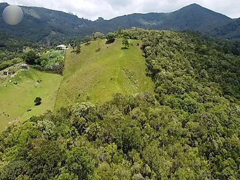 Sítio 58.000 m² - São Pedro de Alcantara - Foto 1