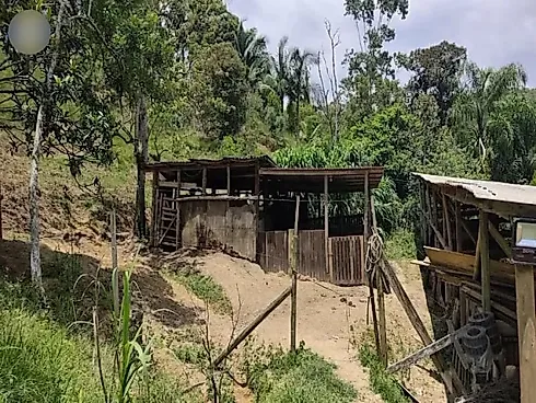 Sítio 58.000 m² - São Pedro de Alcantara - Foto 4