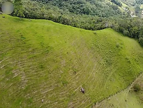 Sítio 58.000 m² - São Pedro de Alcantara - Foto 5