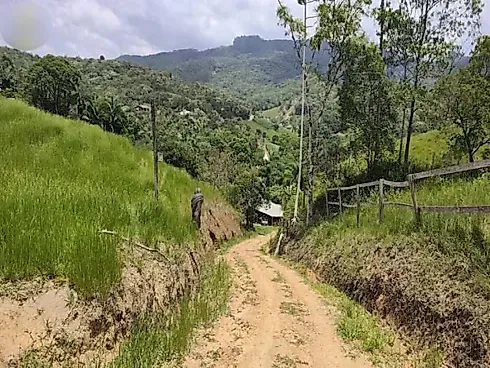 Sítio 58.000 m² - São Pedro de Alcantara - Foto 12