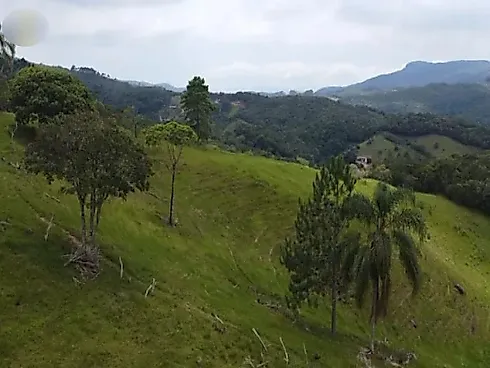 Sítio 58.000 m² - São Pedro de Alcantara - Foto 15