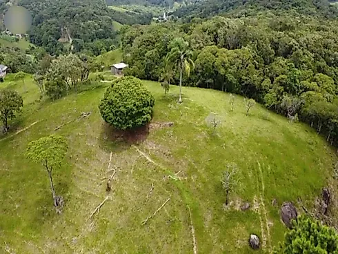 Sítio 58.000 m² - São Pedro de Alcantara - Foto 18