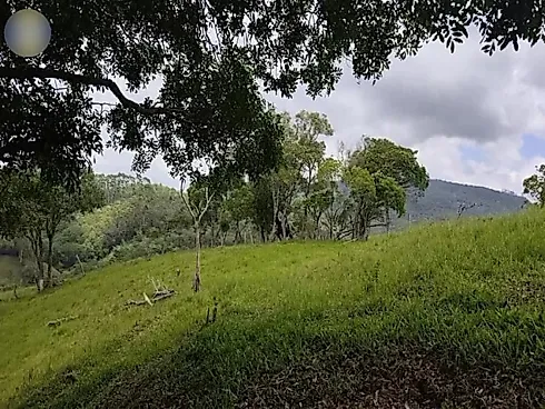 Sítio 58.000 m² - São Pedro de Alcantara - Foto 20