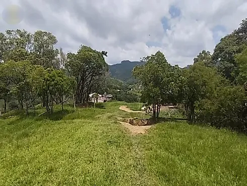 Sítio 58.000 m² - São Pedro de Alcantara - Foto 22