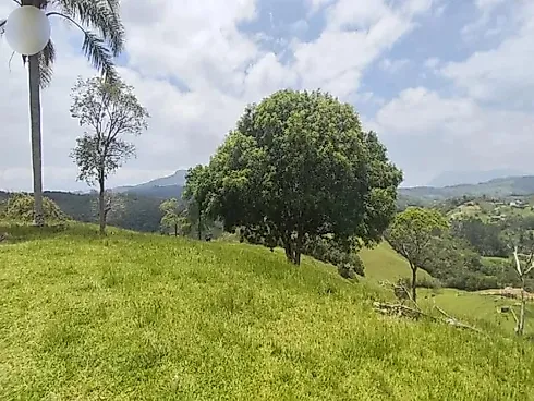Sítio 58.000 m² - São Pedro de Alcantara - Foto 23