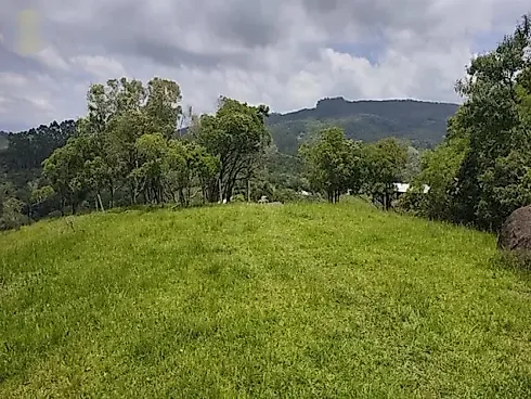 Sítio 58.000 m² - São Pedro de Alcantara - Foto 27