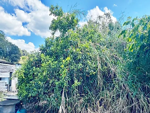 Terreno  909,53M² - Santo Amaro da Imperatriz - Foto 17